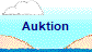 Auktion